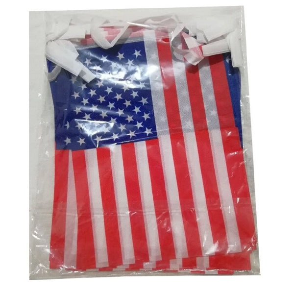 American String Pennant Banner