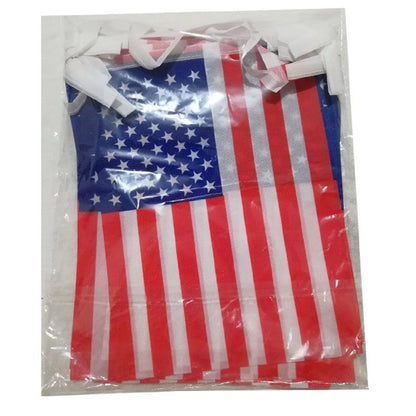 American String Pennant Banner