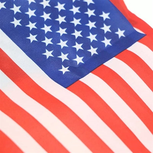 American String Pennant Banner