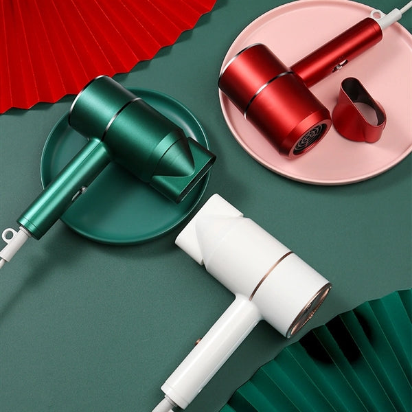 Silent Negative Ion Hair Dryer