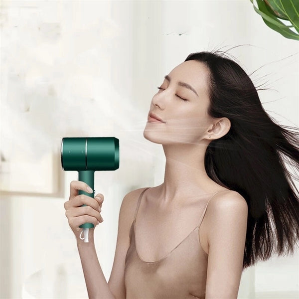 Silent Negative Ion Hair Dryer