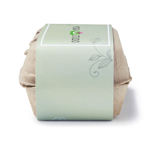 Zen Garden Grow Kit