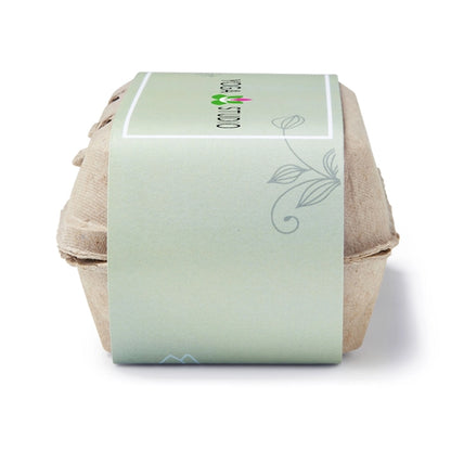 Zen Garden Grow Kit