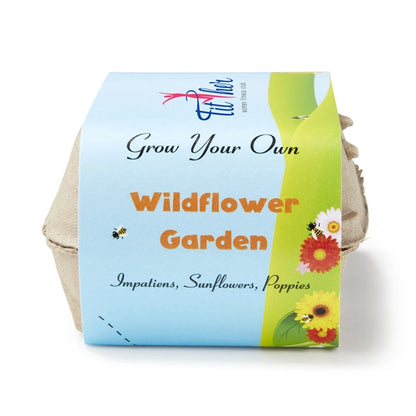 Wildflower Seed Garden Grow Kit