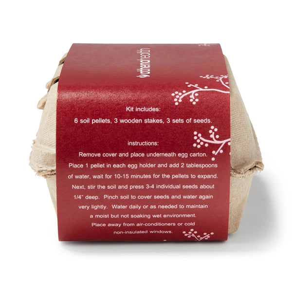 Winter Wonderland Seed Grow Garden Kit