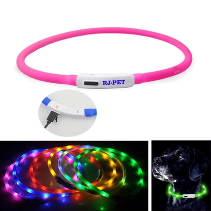 USB Silicone LED Pet Collar