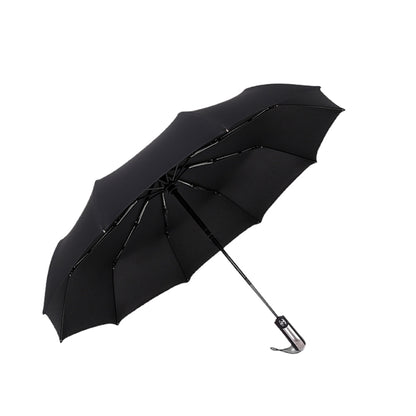 Luxe Gift Umbrella