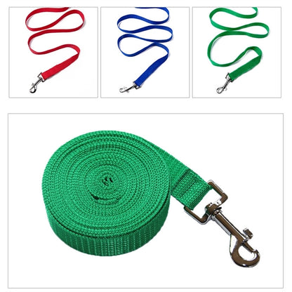 Puppy Training Leash