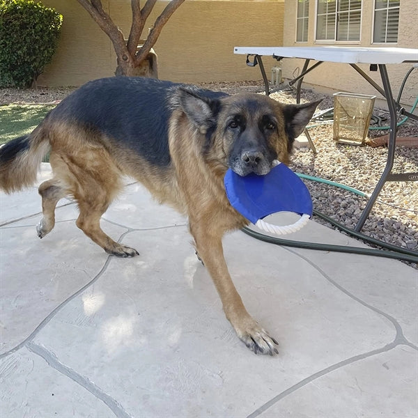 Pet Dog Chew toy Flying Disc
