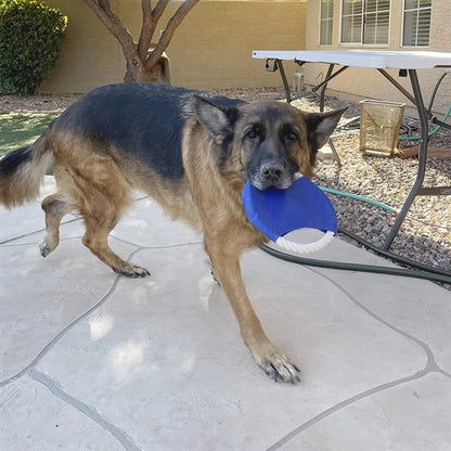 Pet Dog Chew toy Flying Disc