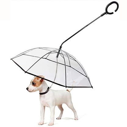 Dog Umbrella With Leash