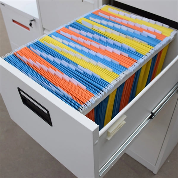 Hanging Organizer File Folders