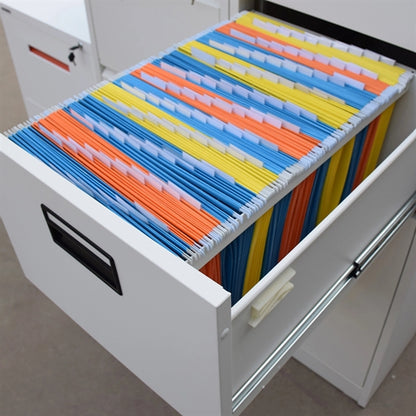 Hanging Organizer File Folders