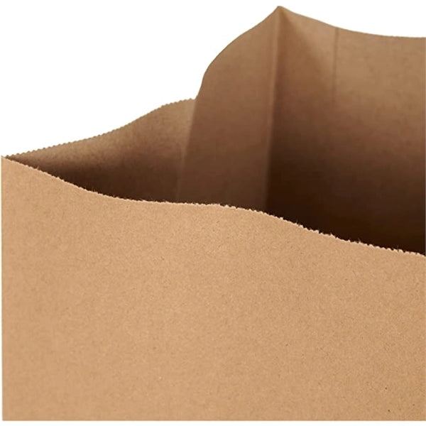 Natural Kraft Carry-Out Bags