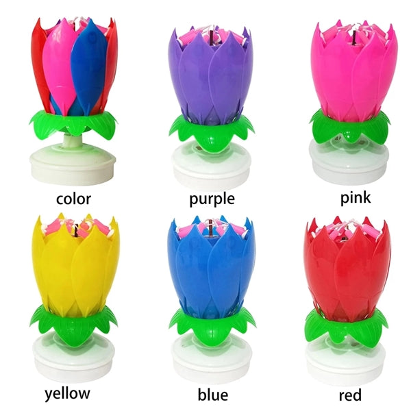 lotus flower birthday candles