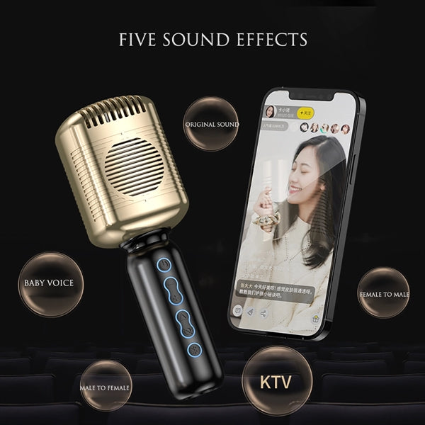 Vintage Karaoke Microphone With Speaker