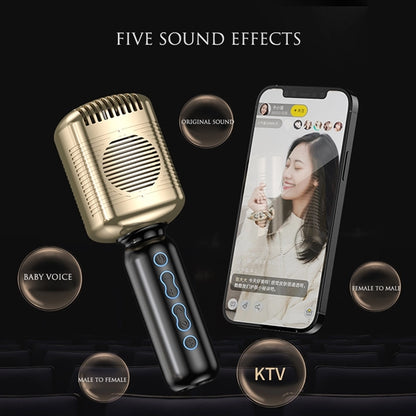 Vintage Karaoke Microphone With Speaker