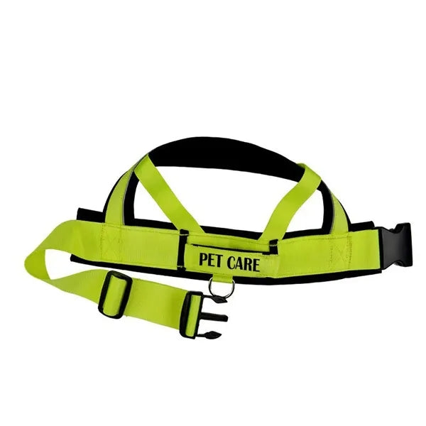 Deluxe Dog Harness