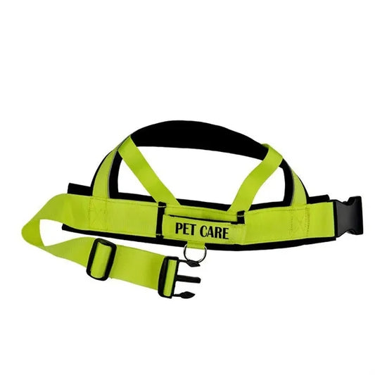 Deluxe Dog Harness