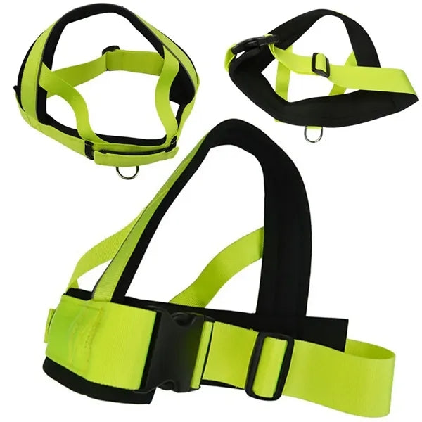 Deluxe Dog Harness