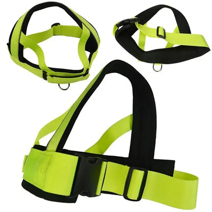 Deluxe Dog Harness