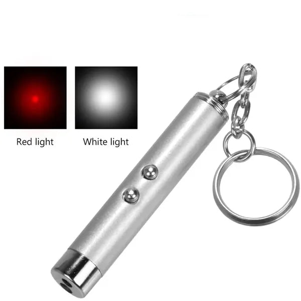 Mini Pet Laser Pointer Flashlight Keychain