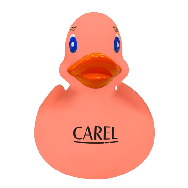 Color Changing Rubber Duck