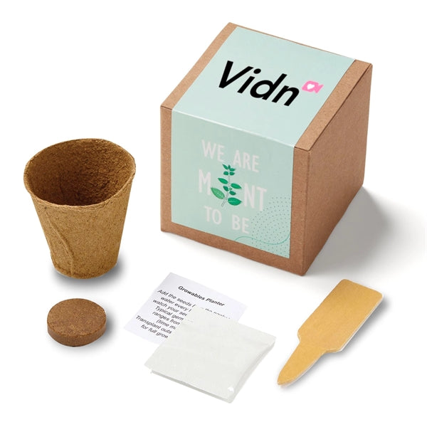 Inspirational Mint to Be Growable Seed Planter Kit