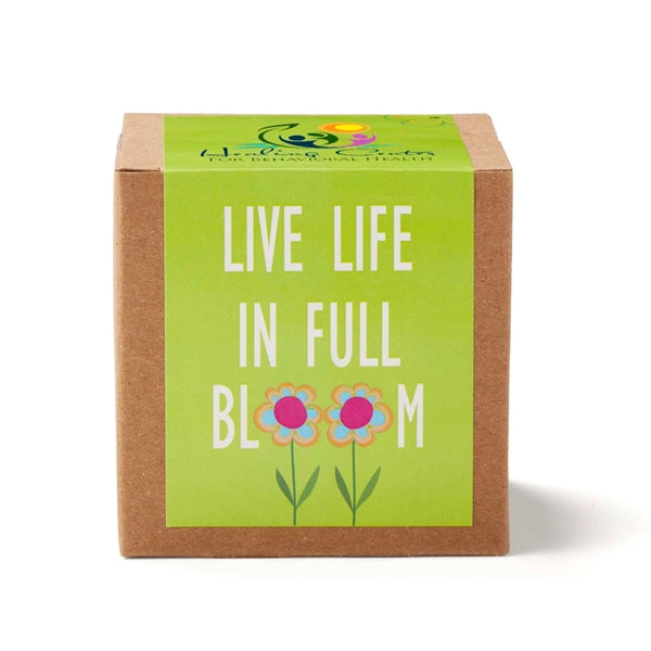 Inspirational Live Life Growable Seed Planter Kit