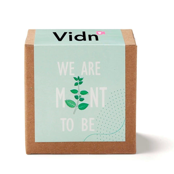 Inspirational Mint to Be Growable Seed Planter Kit