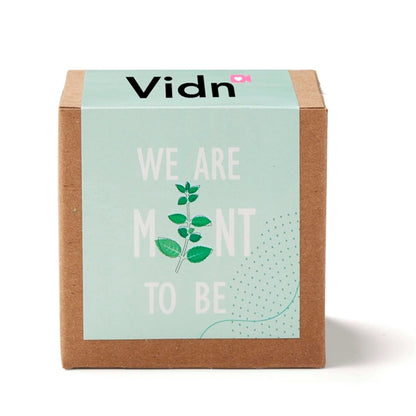 Inspirational Mint to Be Growable Seed Planter Kit