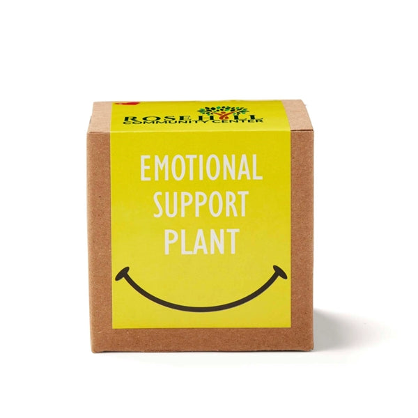 Inspirational Emotional Support Growable Seed Planter Kit