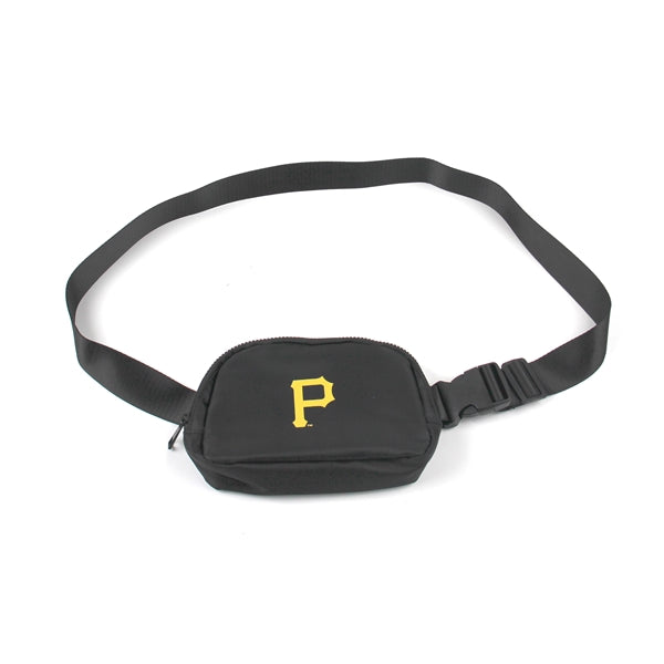 Everywhere Belt Bag / Fanny Pack