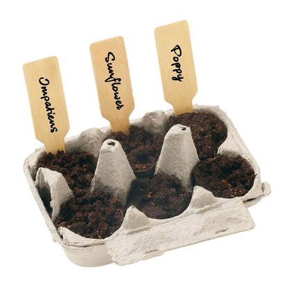 Orange Grow Your Own Garden of Hope Seed Kit