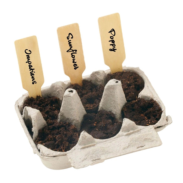 Teal Grow Your Own Garden of Hope Seed Kit