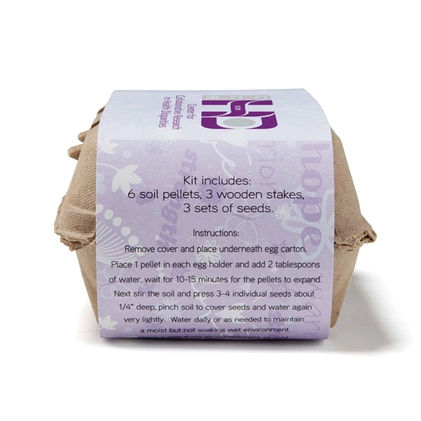 Purple Grow Your Own Garden of Hope Seed Kit