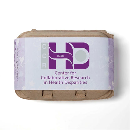 Purple Grow Your Own Garden of Hope Seed Kit