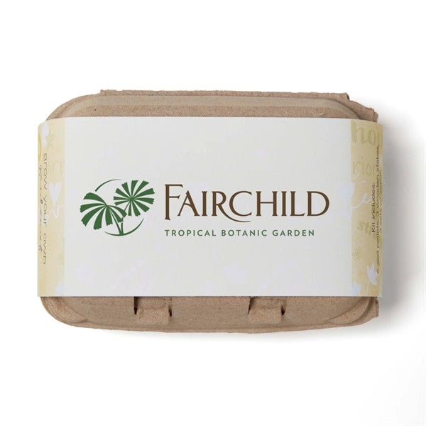 Yellow Grow your own Garden of Hope Seed Kit