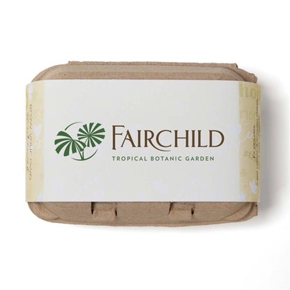 Yellow Grow your own Garden of Hope Seed Kit