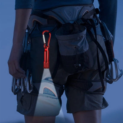 Mini LED Keychain Flashlight