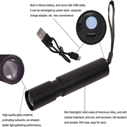 Rechargeable and portable LED flashlight