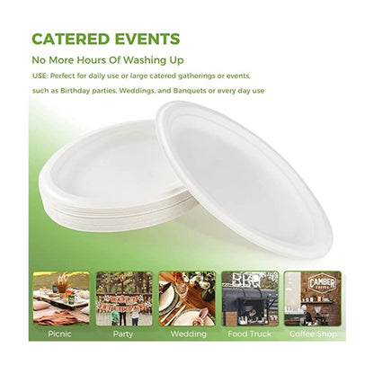 Disposable Sugarcane Paper Plate
