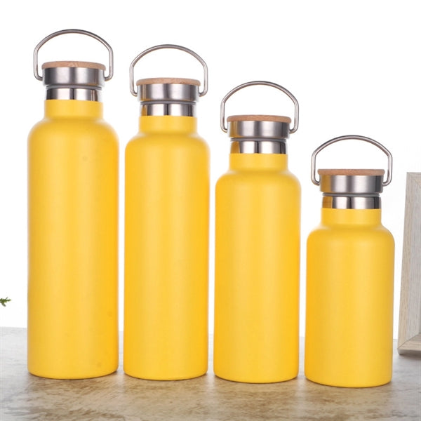 Portable Insulated Sports Bottle