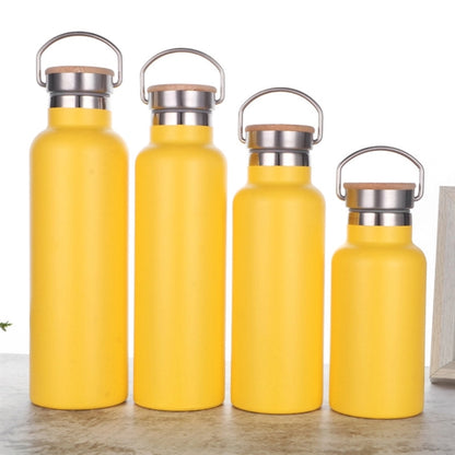 Portable Insulated Sports Bottle