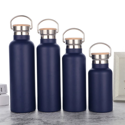 Portable Insulated Sports Bottle