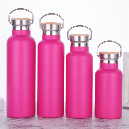 Portable Insulated Sports Bottle