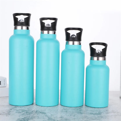 Portable Insulated Sports Bottle