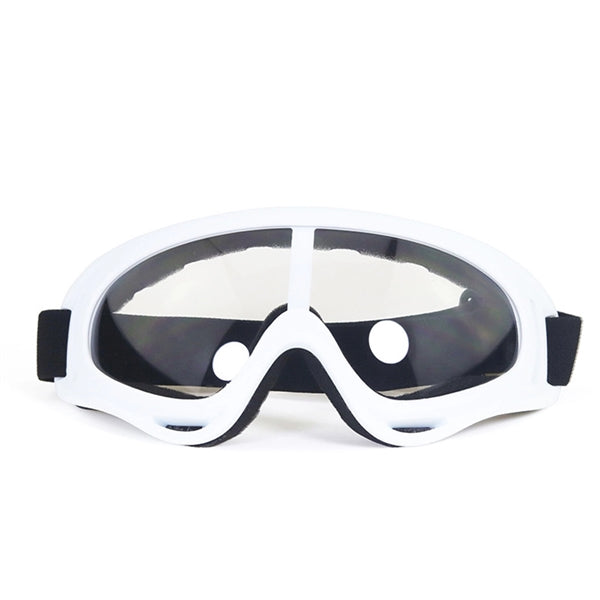Motorcycle Ski Goggles