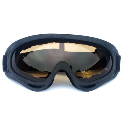 Motorcycle Ski Goggles