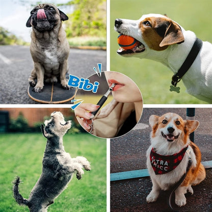 Pet Adjustable Silent Dog Whistle